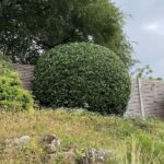 Gardening Service
