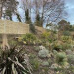 Landscape and Fencing service
