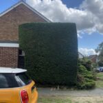 Gardening Service