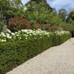 Gardening Service